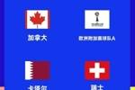 卡塔尔助教：加拿大拥有在欧洲踢球的球员，会让对手踢得很艰难