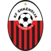 斯肯迪亚